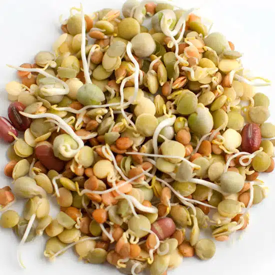 Mixed Sprouts 200gm