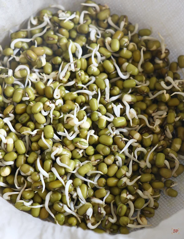 Moong Sprouts