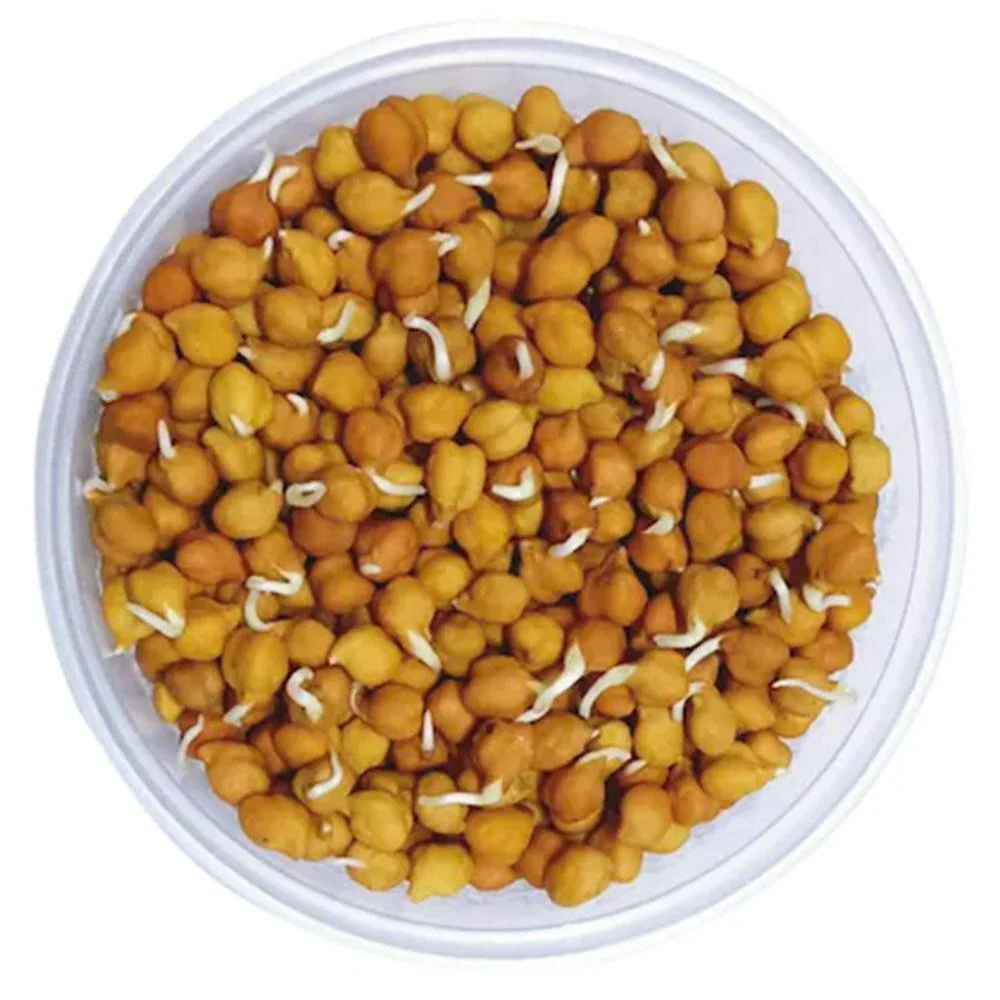 Brown Chana Sprouts 200gm